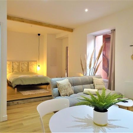 Appartement Sublime Cocon Pour 2 Aux Portes De La Place Nationale - Proximite Immediate Toutes Commodites Et Sites D'Interets à Montauban Extérieur photo